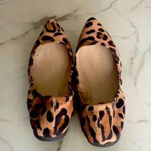 Leopard print cuties!!!🤩🤩